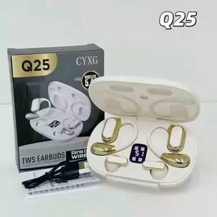 Q25 4-in-1 Wireless Earbuds